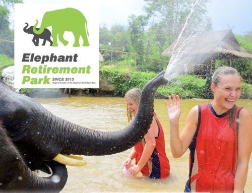 Elephant Retriment Park Phuket